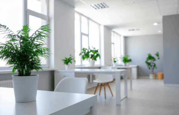 Clean Office Space